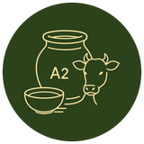 A2 Bilona Ghee & Squeezed Oils