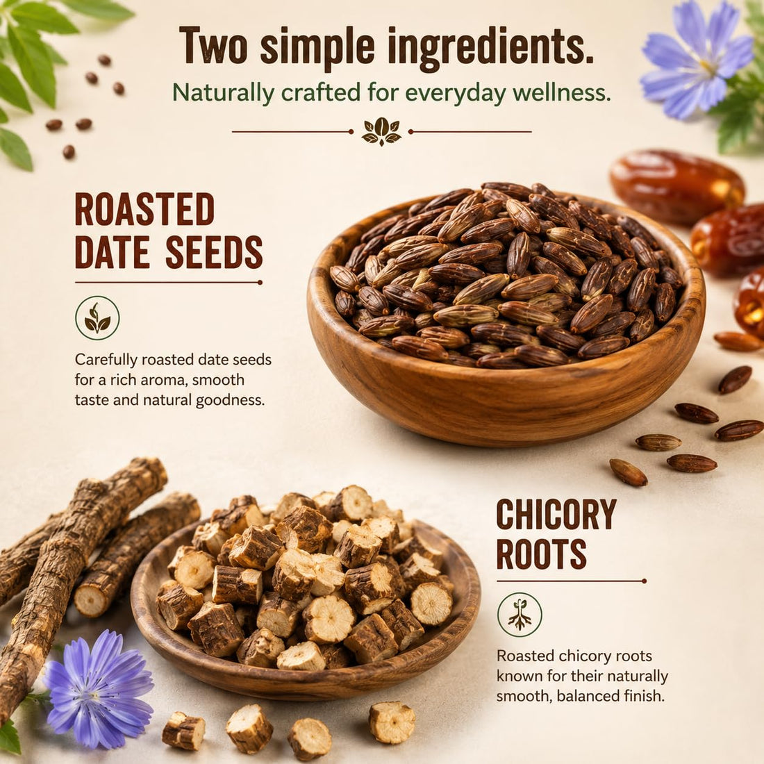Bowl of roasted date seeds and chicory roots for smooth caffeine-free coffee.