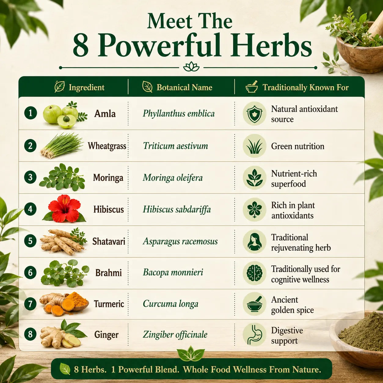 Herb blend ingredient chart listing amla, wheatgrass, moringa, hibiscus and more