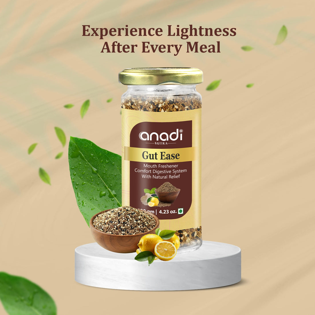 Gut Ease 120 gm | Roasted Ajwain Mukhwas | Ancient Mouth Freshener