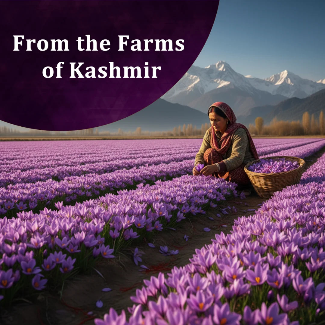 Kashmiri Saffron | 1 gm