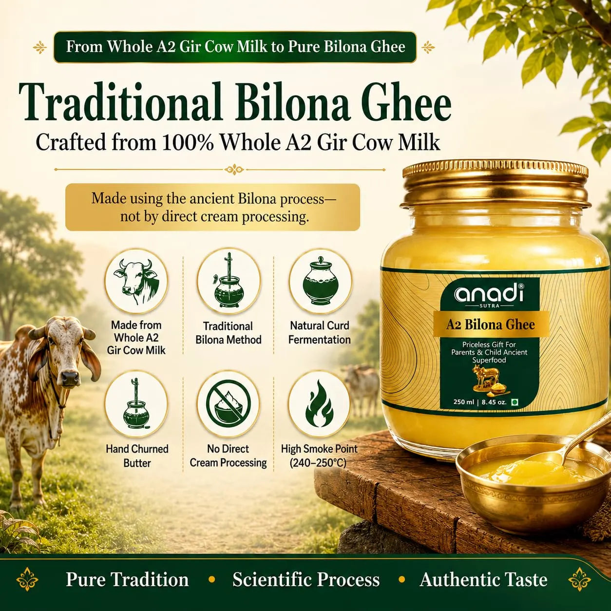A2 bilona ghee jar with wooden scoop and bowl, shown with tradition process icons