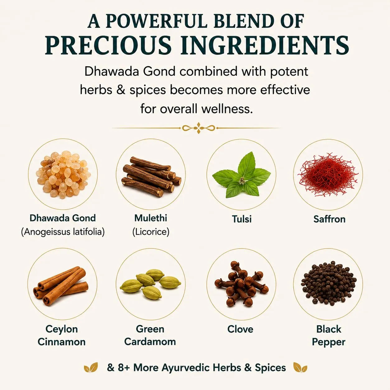Ayurvedic gum elixir ingredients infographic showing dhawada gond, mulethi, tulsi, saffron