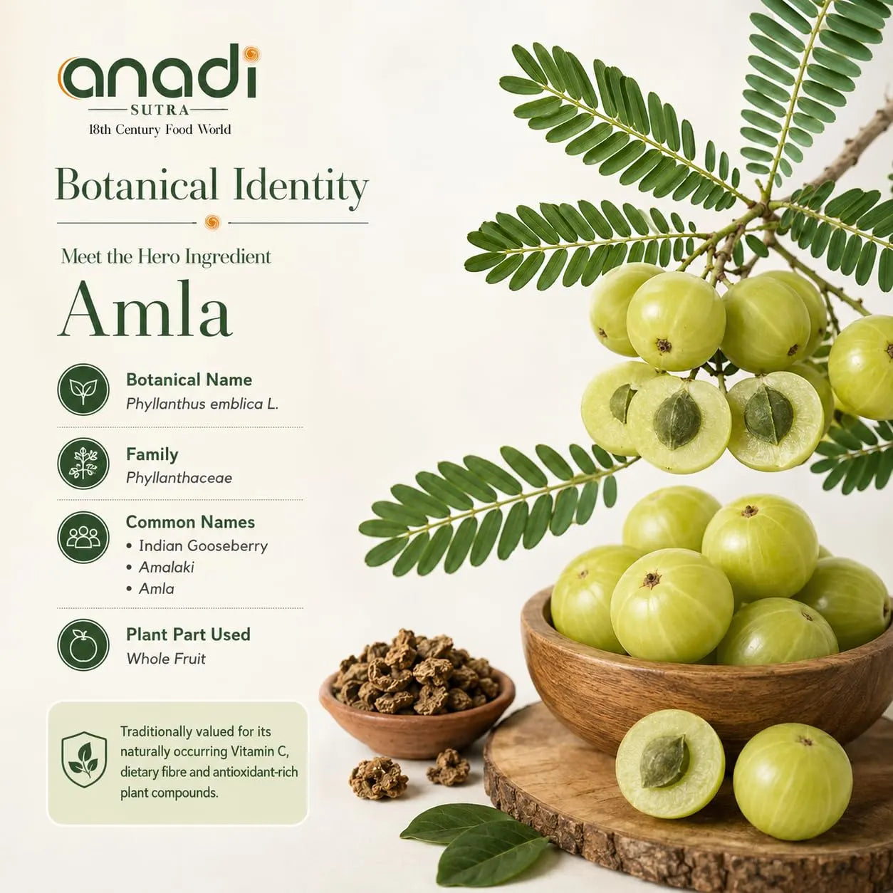 Salted amla fruit bowl with green amla, dried pieces, and plant leaves