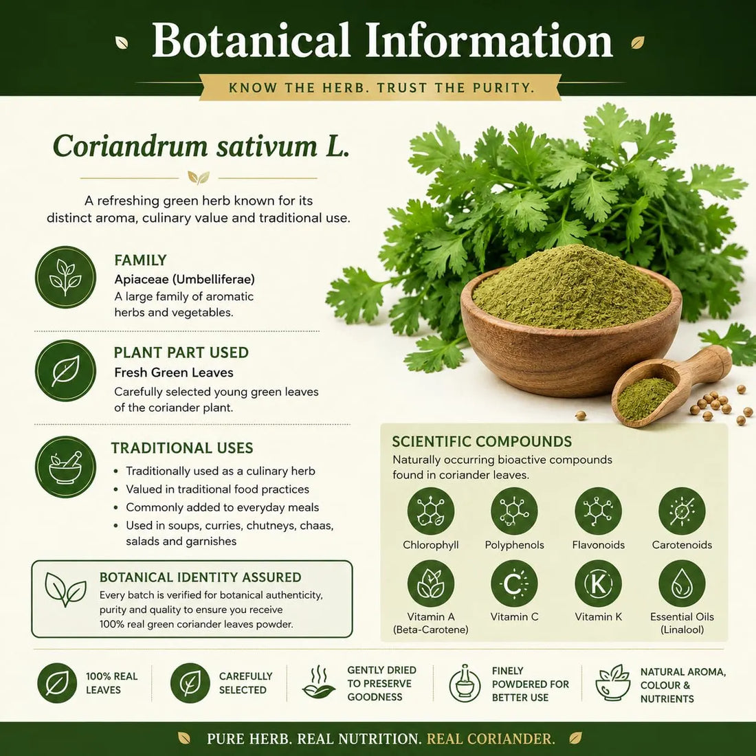 Green herb powder with coriander leaves and powder in a bowl, plus labeled jar