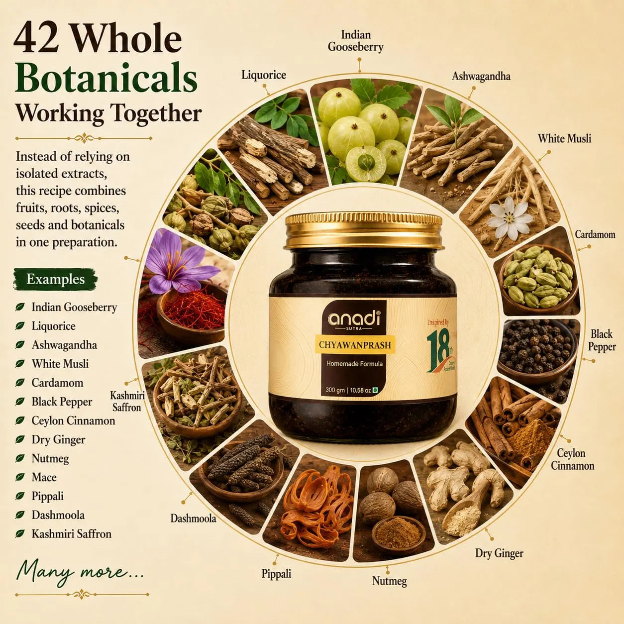 Anadi Chyawanprash jar with gold lid surrounded by botanical ingredient wheel