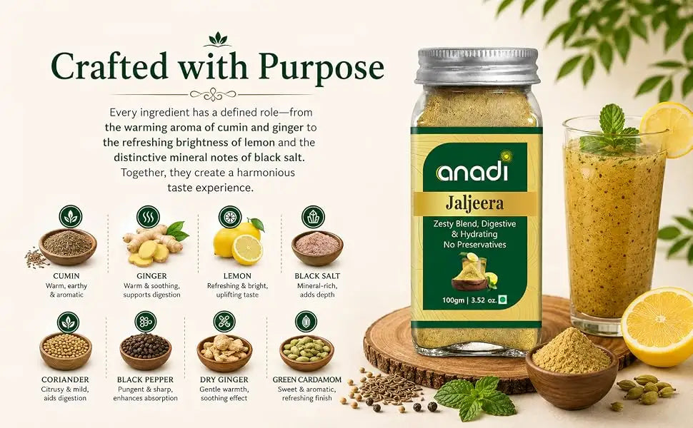 Jaljeera | 100 gm