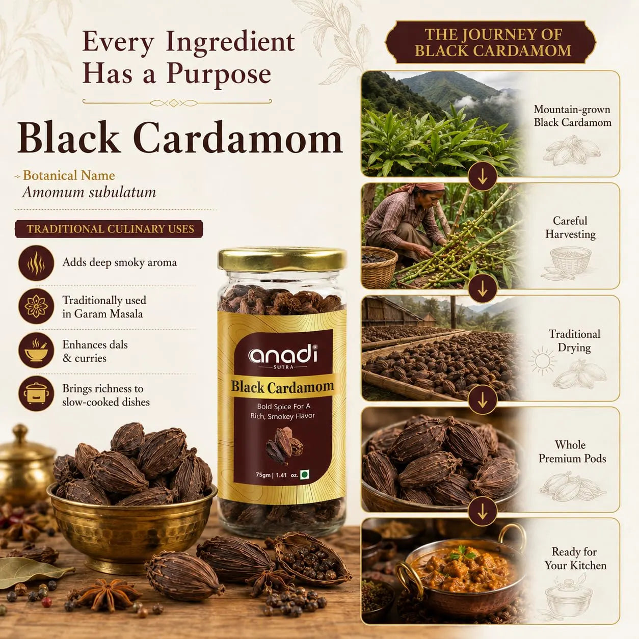 Black cardamom spice jar with gold lid, anadi SUTRA, 75 g, product label