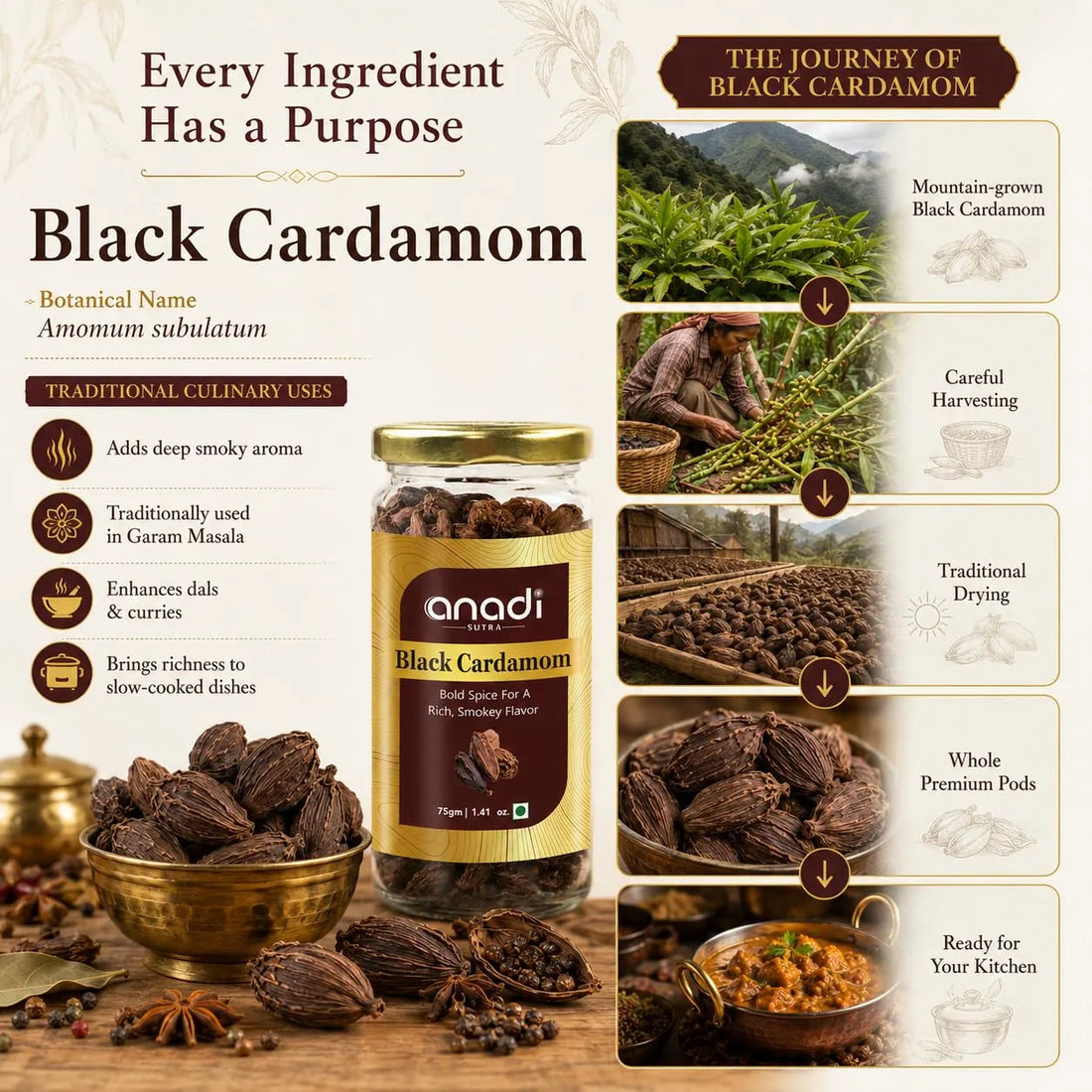 Black cardamom spice jar with gold lid, anadi SUTRA, 75 g, product label