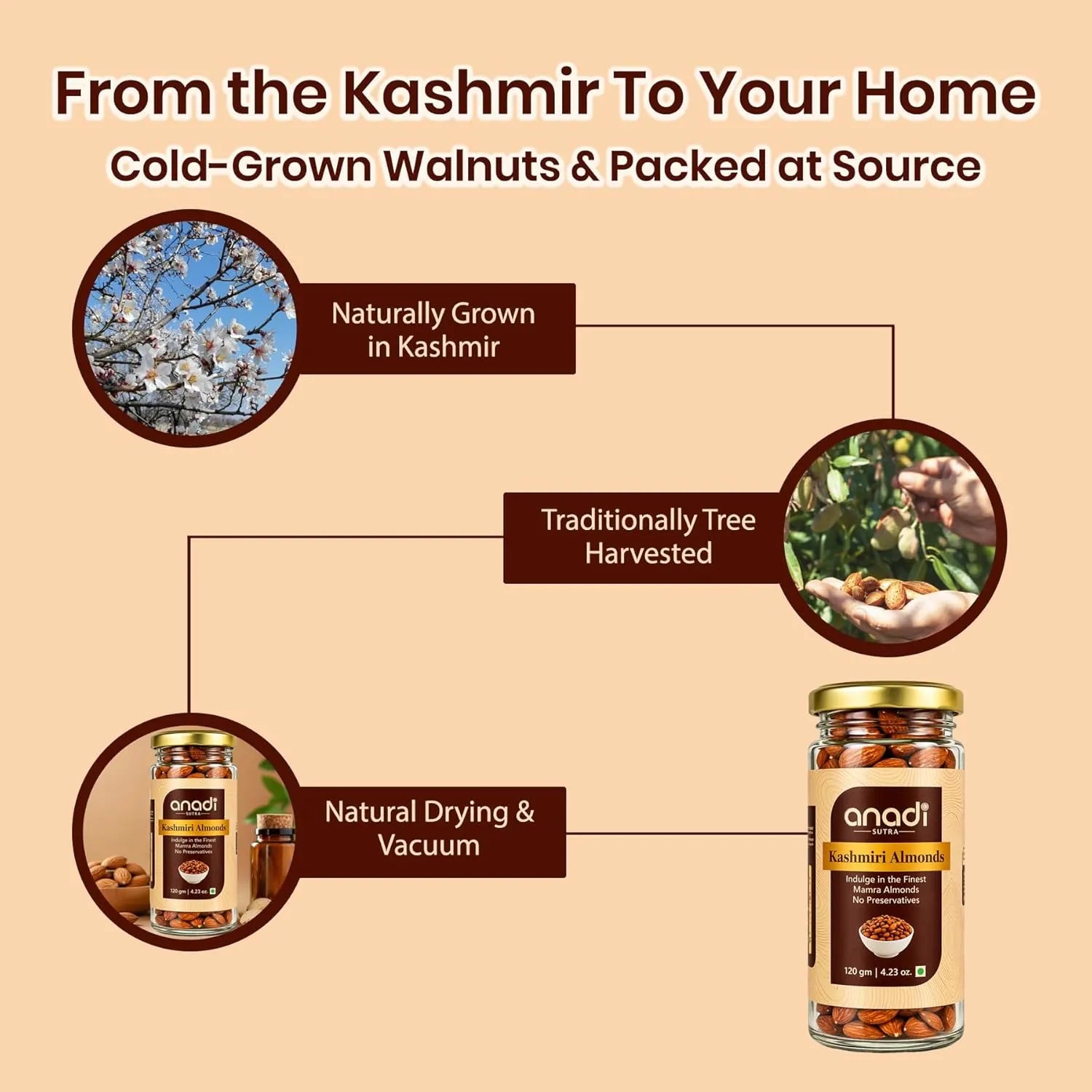 Kashmiri almonds packaging scene with small and tall jars shown