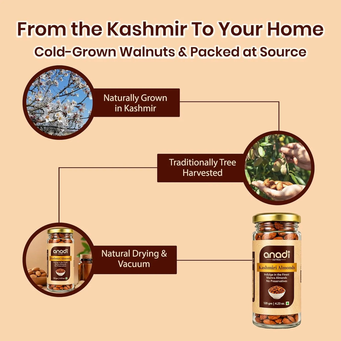 Kashmiri almonds packaging scene with small and tall jars shown