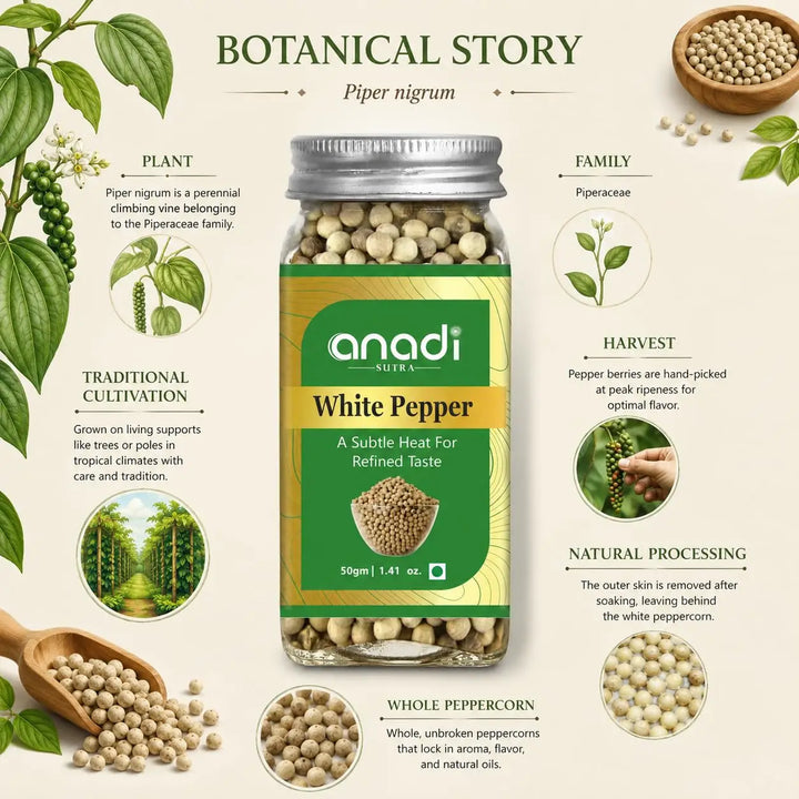 White pepper jar with green label, silver lid, glass packed with pale peppercorns on stone