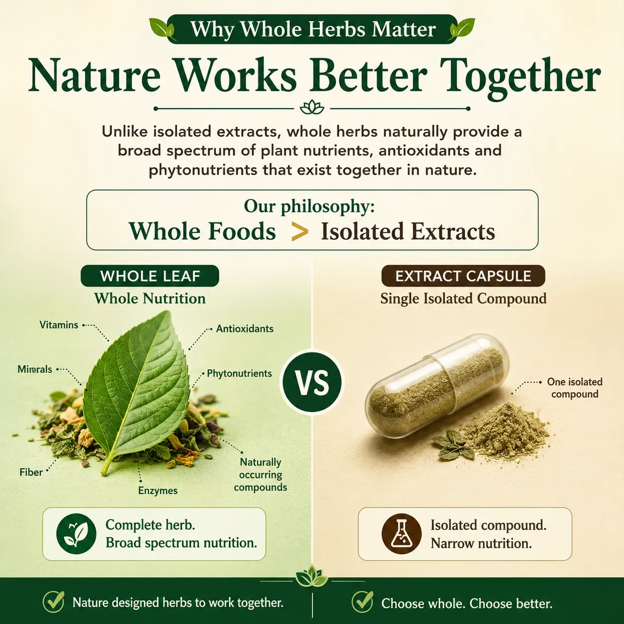 Whole herbs vs extract comparison infographic with herbal supplement jar and capsules
