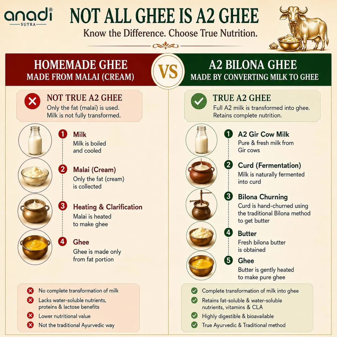 Comparison infographic for A2 bilona ghee vs homemade ghee, with milk and ghee icons