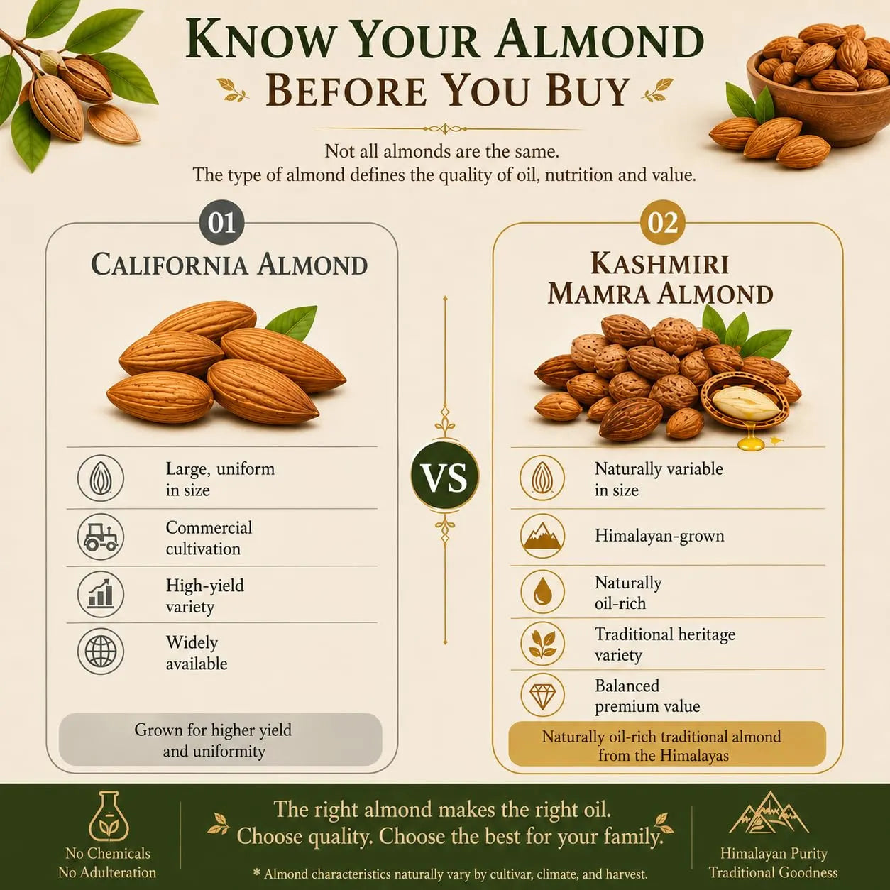 Almond oil bottle with gold cap and amber liquid, shown with bowls of almonds