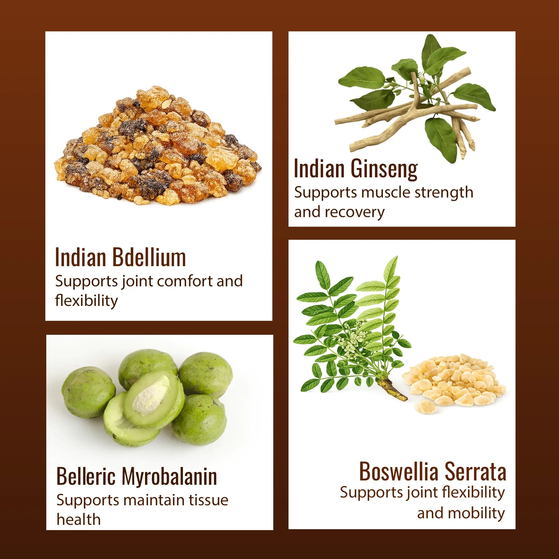 Ortho Delight Herbal Powder 100g | Boswellia Serrata & Turmeric Blend | Whole Herb Formula (No Extracts) | Mobility Support | Plant-Based Joint Care for Men & Women