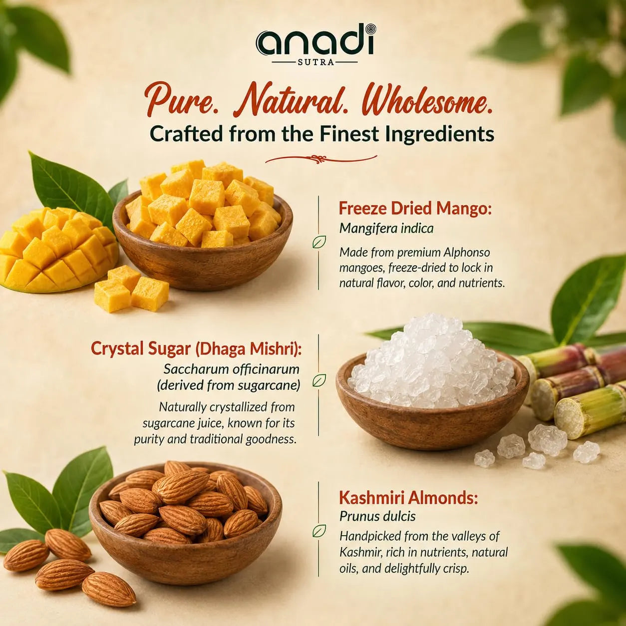 Freeze dried mango and crystal sugar ingredient bowls infographic