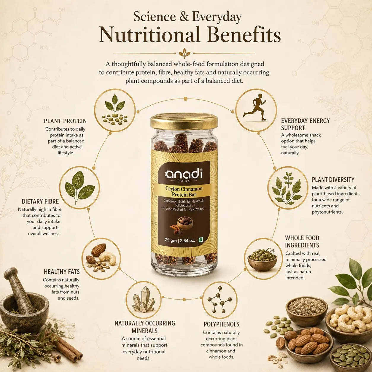 Protein bar jar with gold lid in a science and everyday nutrition benefits infographic
