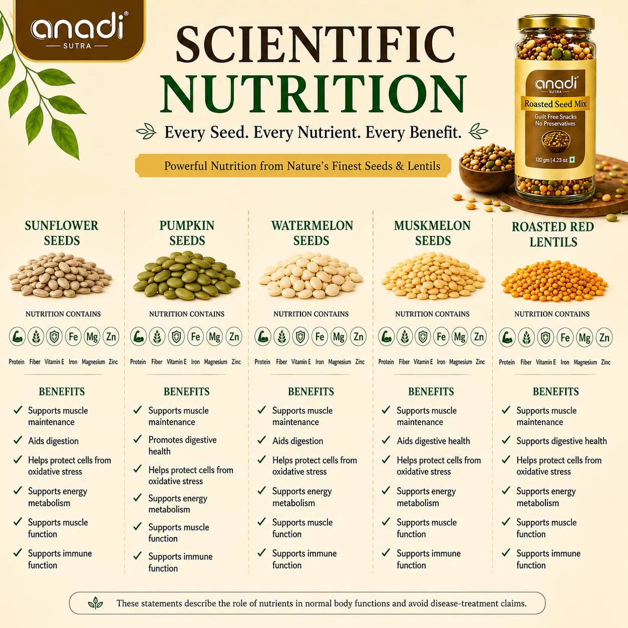 Scientific nutrition infographic featuring anadi seed mix jar and seed nutrition containers