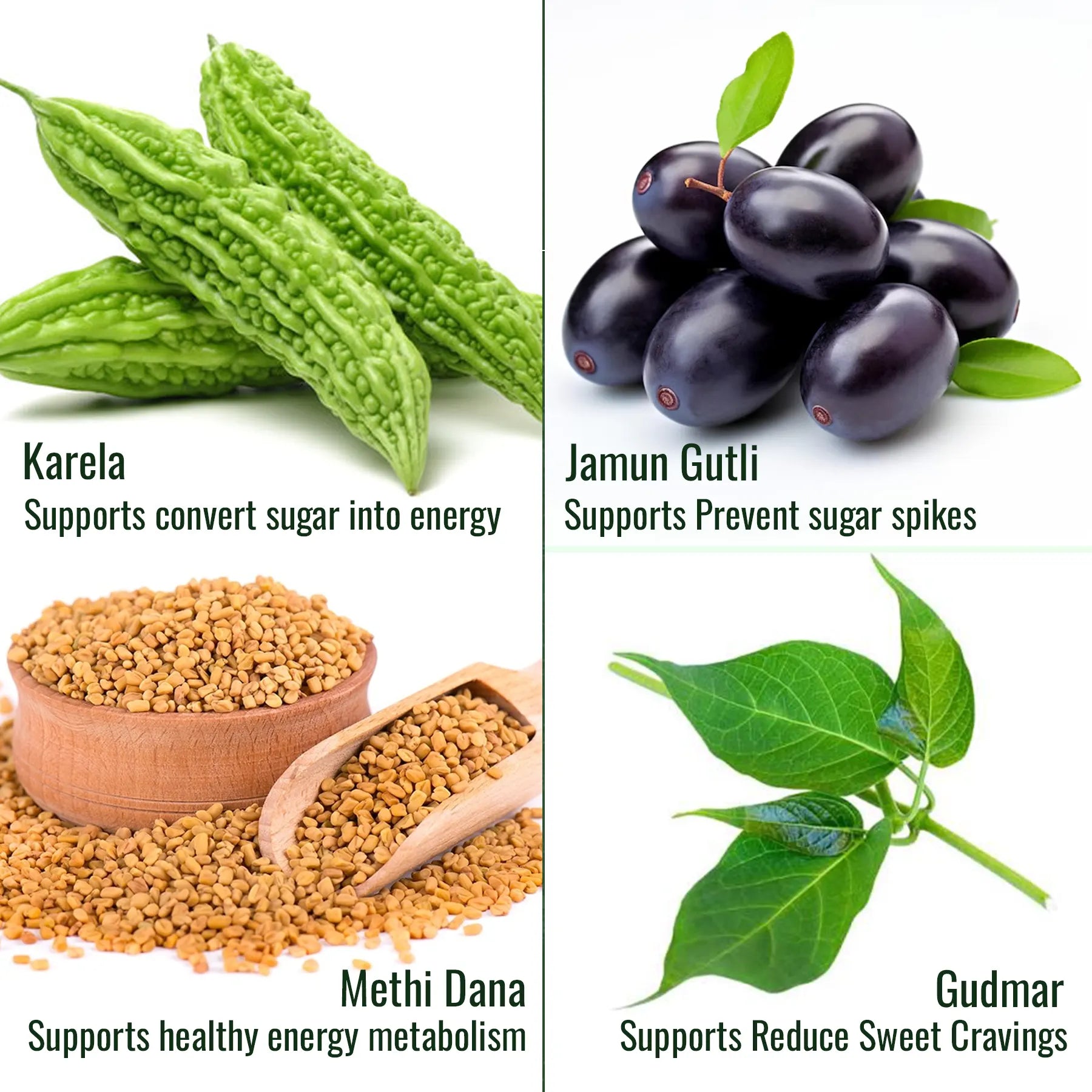 Sugar Away 100 gm | Karela Jamun Guthli, Gudmar Powder | Helps Manage Blood Sugar Levels | Helps Improve Metabolism | Balance Sweets Cravings