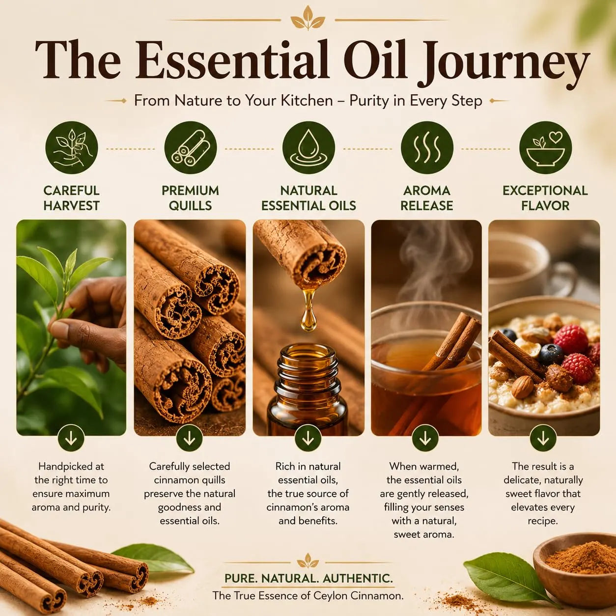 Cinnamon sticks near a jar with essential oil drop illustration
