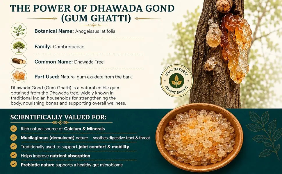 Indian Gum Elixir | 75g