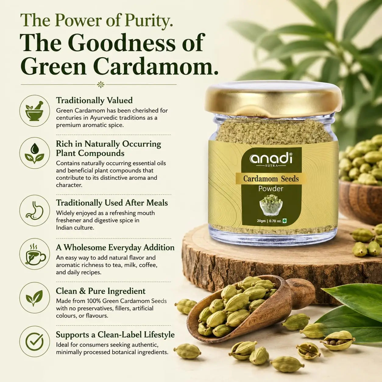 Green cardamom seeds powder jar with gold lid and fresh pods beside wooden spoon