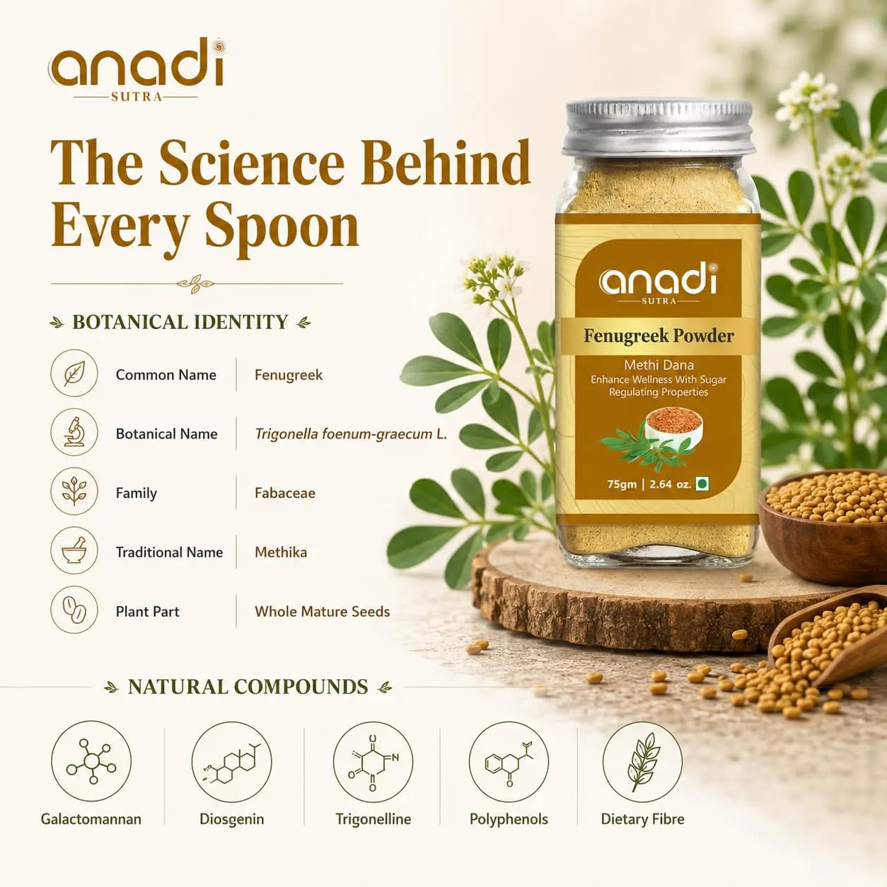 Fenugreek seeds powder jar with golden-brown ground powder and scattered seeds
