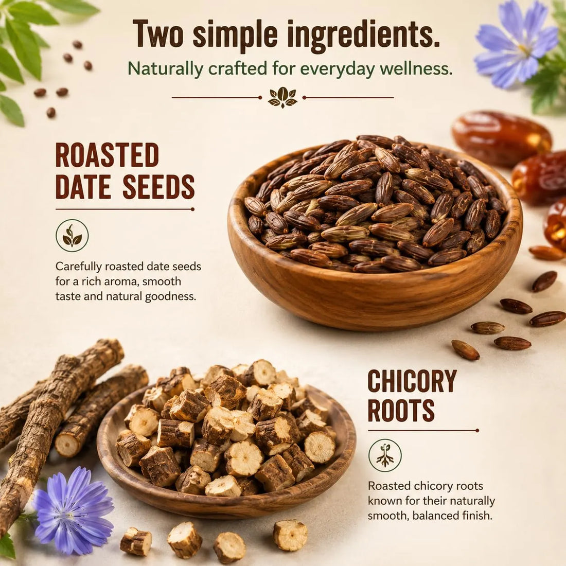 Wooden bowls of roasted date seeds and chicory roots next to date seed coffee jar