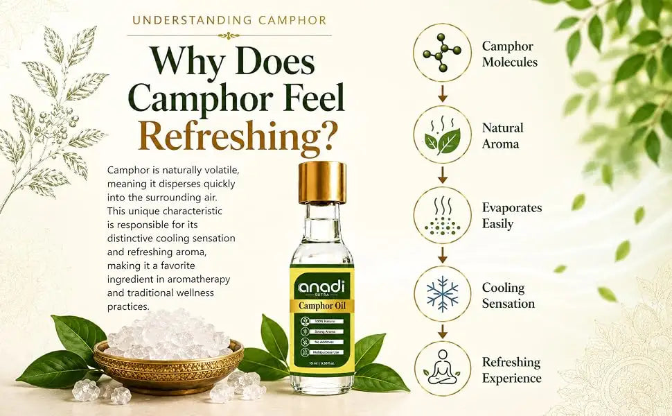 Camphor Oil | 15 ml